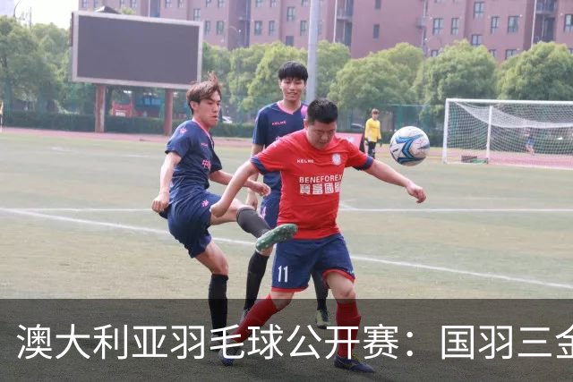 澳大利亚羽毛球公开赛：国羽三金两银收官
